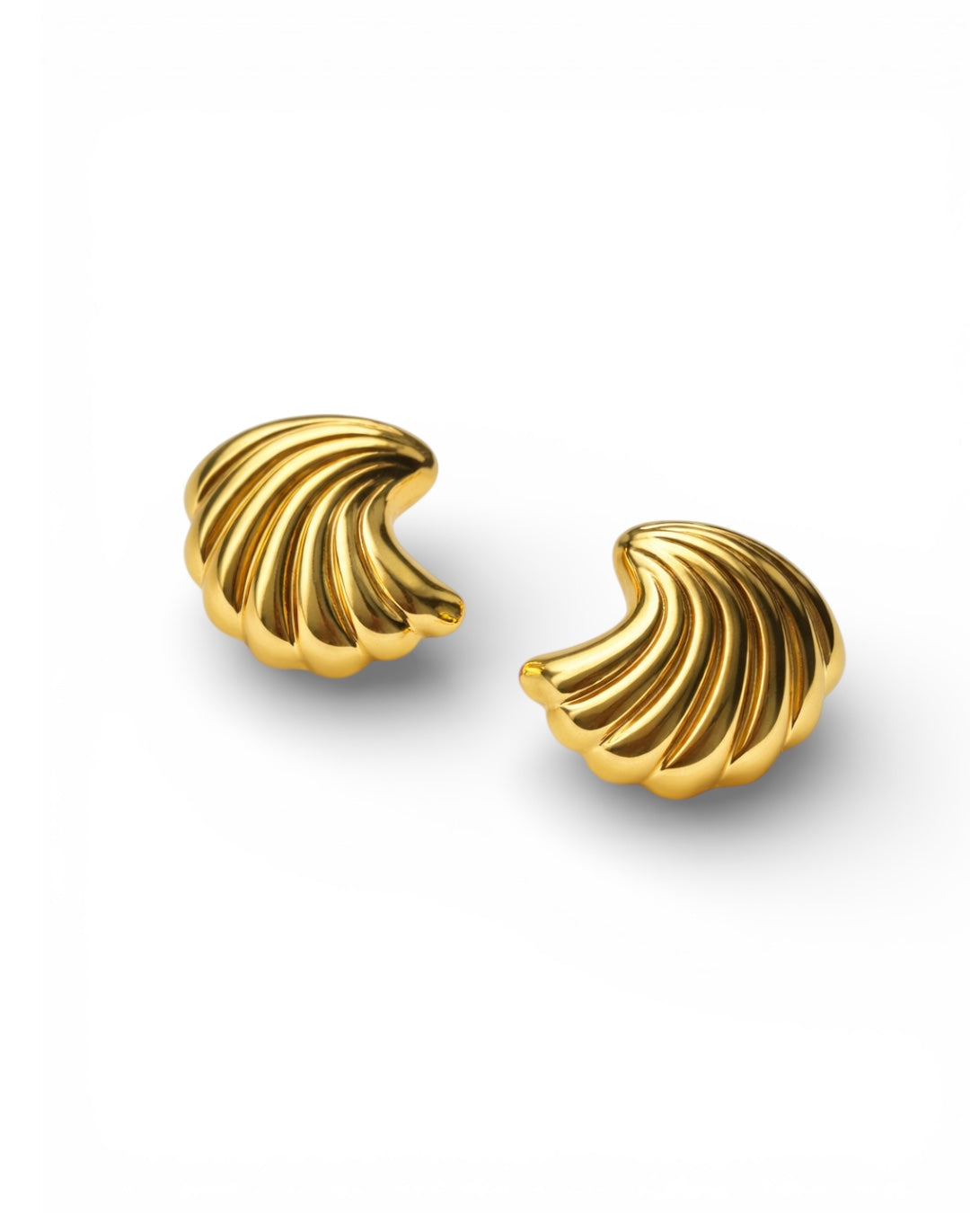 Shell Earrings