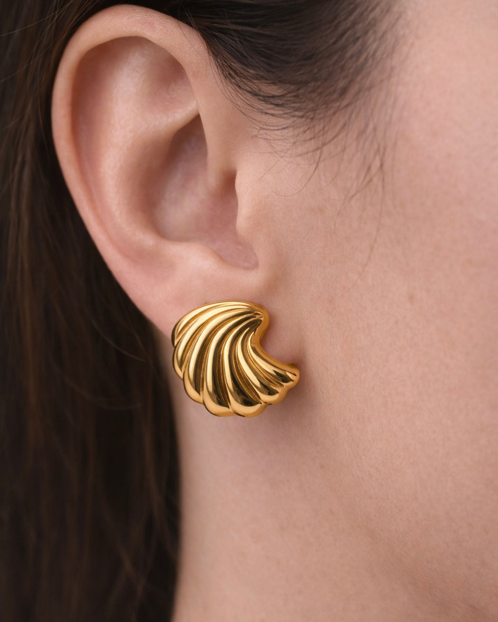 Shell Earrings