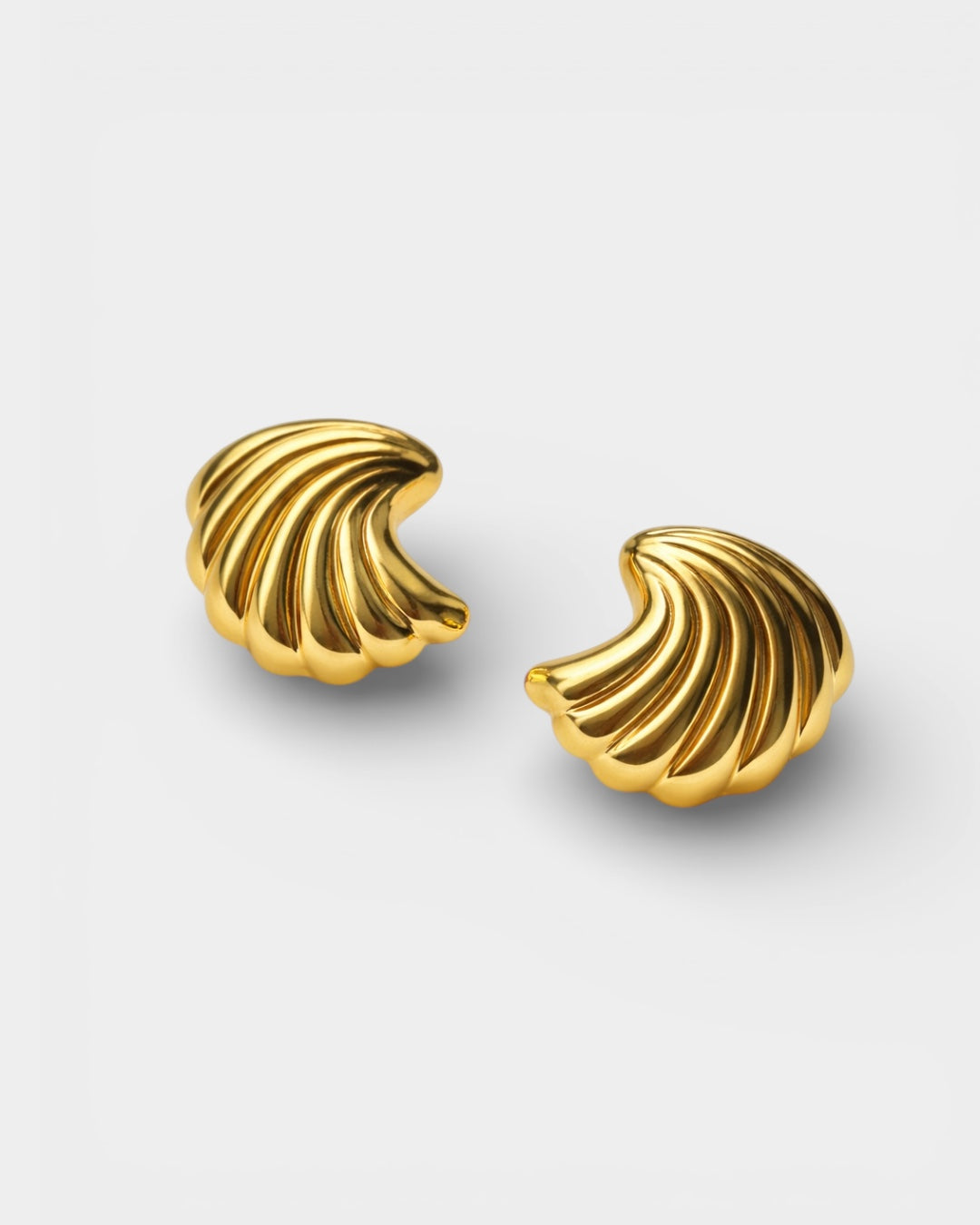 Shell Earrings