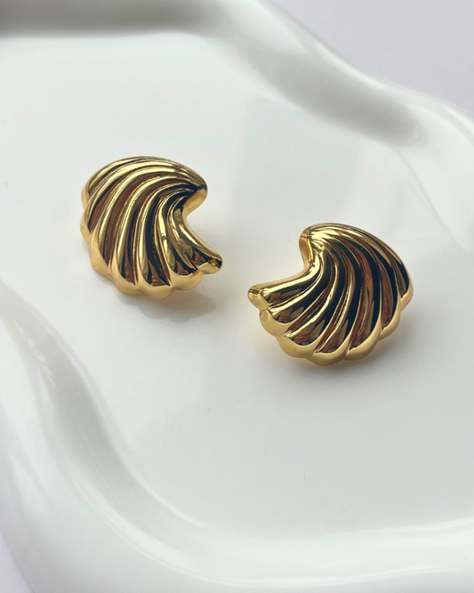 Shell Earrings
